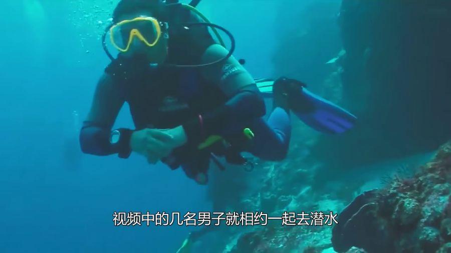 缤纷水果茶